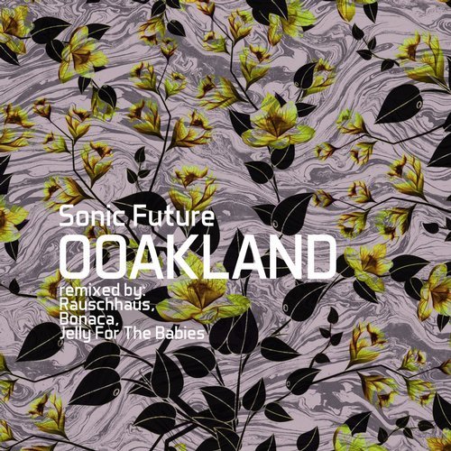Sonic Future - Ooakland [One Of A Kind]