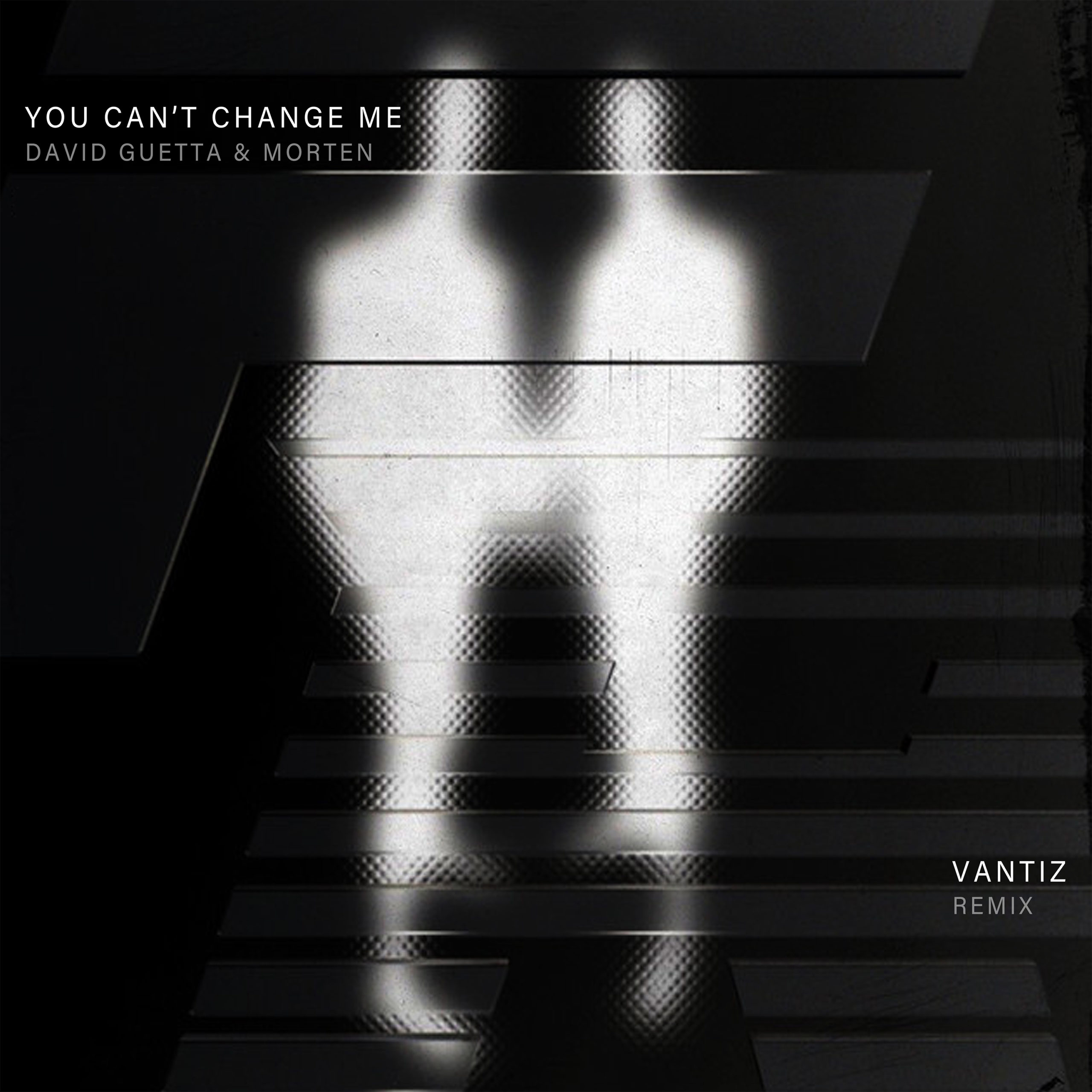 David Guetta & MORTEN – You Can'T Change Me (Vantiz Remix) [Free.